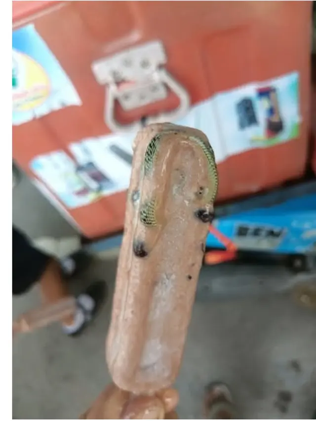Pria Ini Temukan Ular Utuh di Es Krim Kacang Hitam, Bikin Merinding