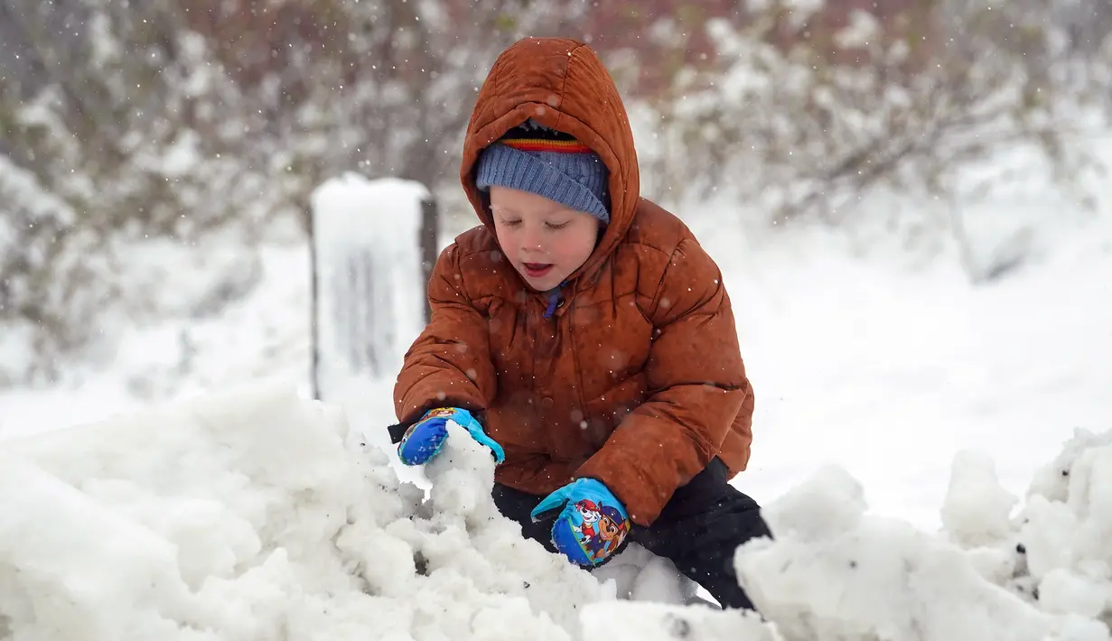 Reid Kauzer (4) bermain dengan salju saat mengunjungi Mount Diablo State Park di Walnut Creek, California, Amerika Serikat, 27 Februari 2023. Di California, Layanan Cuaca Nasional mengatakan serangkaian sistem badai musim dingin akan terus bergerak ke negara bagian itu setelah warga beristirahat sejenak dari cuaca buruk. (AP Photo/Godofredo A. Vásquez)