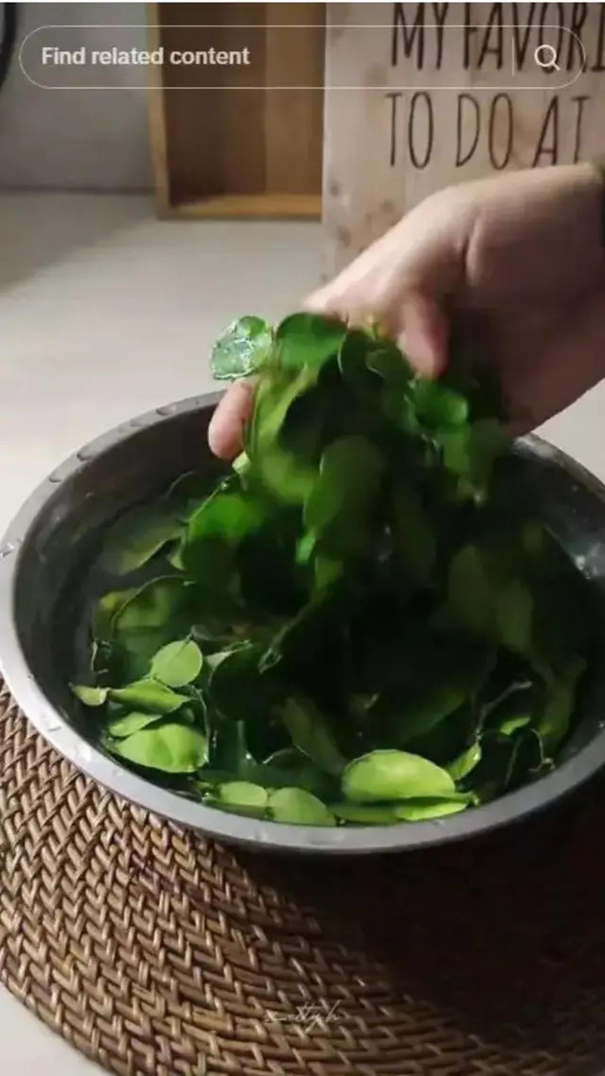 Cara Menyimpan Daun Jeruk Agar Tetap Segar dan Awet Hingga 3 Bulan