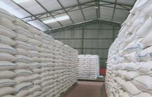 Bulog Madura Ajukan Tambahan 300 Ton, Pastikan Stok Beras Madura Aman Jelang Ramadan 1447 H