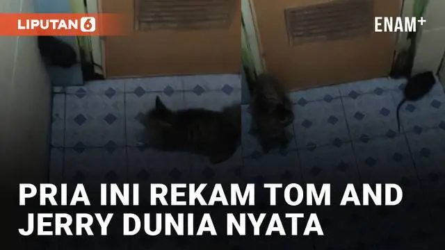 VIDEO: Kocak, Pria Ini Rekam Tom and Jerry Dunia Nyata Kejar-Kejaran di Kamar Mandi