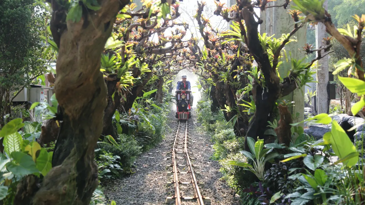 Menyambangi Taman Edukasi SQP Park, Hutan Kota dan Satwa Lucu dalam 1 Kawasan