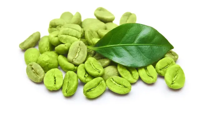 Langsing dengan Minum Green Coffee