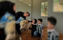 8 Potret Ukkasya Anak Zaskia Sungkar Bersama Kuda Baru Berukuran Mungil, Lucu Banget!