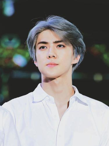 Exo Baekhyun Grey Hair