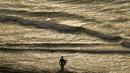 Seorang peselancar berjalan ke laut di Blacks Beach, San Diego, California, Amerika Serikat, 12 Januari 2022. Peselancar di seluruh California Selatan berbondong-bondong ke daerah pantai saat gelombang ombak besar memasuki wilayah tersebut. (AP Photo/Gregory Bull)