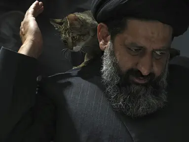 Seekor kucing liar yang terluka berjalan di bahu ulama Iran Sayed Mahdi Tabatabaei setelah perawatan di sebuah klinik hewan di Teheran, Iran, Jumat, 19 Mei 2023. (AP Photo/Vahid Salemi)