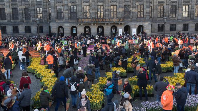Ratusan pengunjung memetik tulip pada Hari Bunga Tulip Nasional di Dam Square, Amsterdam pada 19 Januari 2019. Sebanyak 200ribu bunga tulip berbagai warna dirancang khusus untuk momentum ini.  (AP/Peter Dejong)