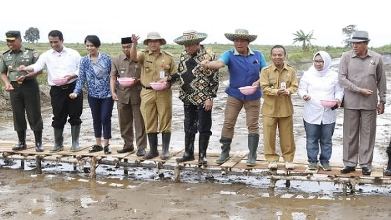 Garap Lahan Rawa, Kementan Proyeksikan Kalsel Jadi Lumbung Pangan di Luar Jawa
