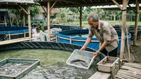 Cara Ternak Lele di Kolam Terpal untuk Orang Tua, Perawatan Mudah Tanpa Harus Sering Angkat Air