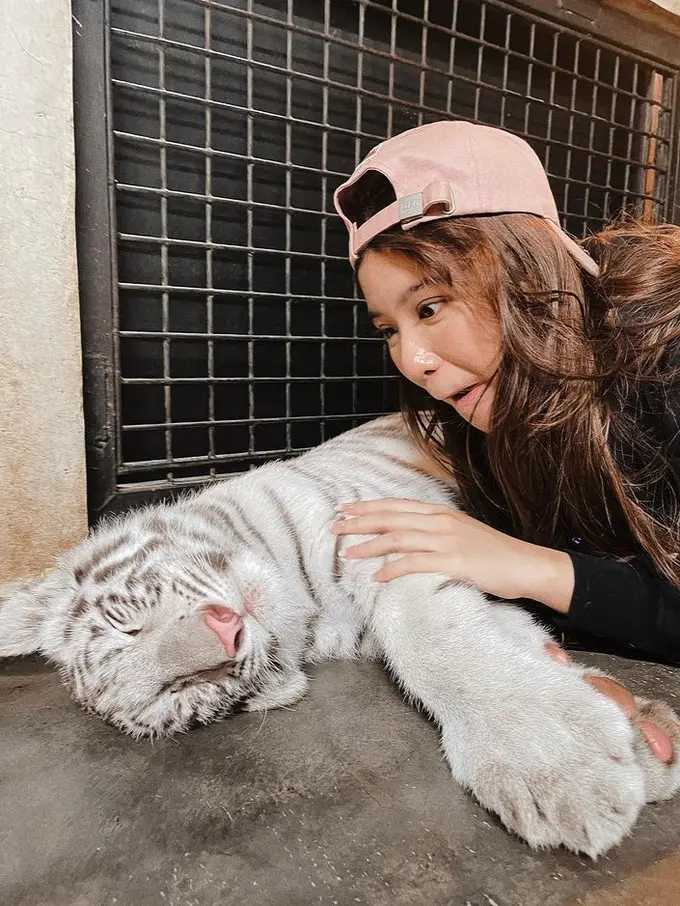 Tiara Andini bersama bayi harimau Selena. (Foto: Instagram/tiaraandini)