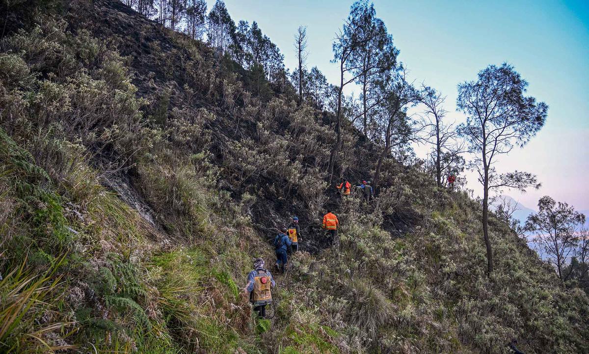 Karhutla Gunung Bromo Meluas Hingga 550 Hektare