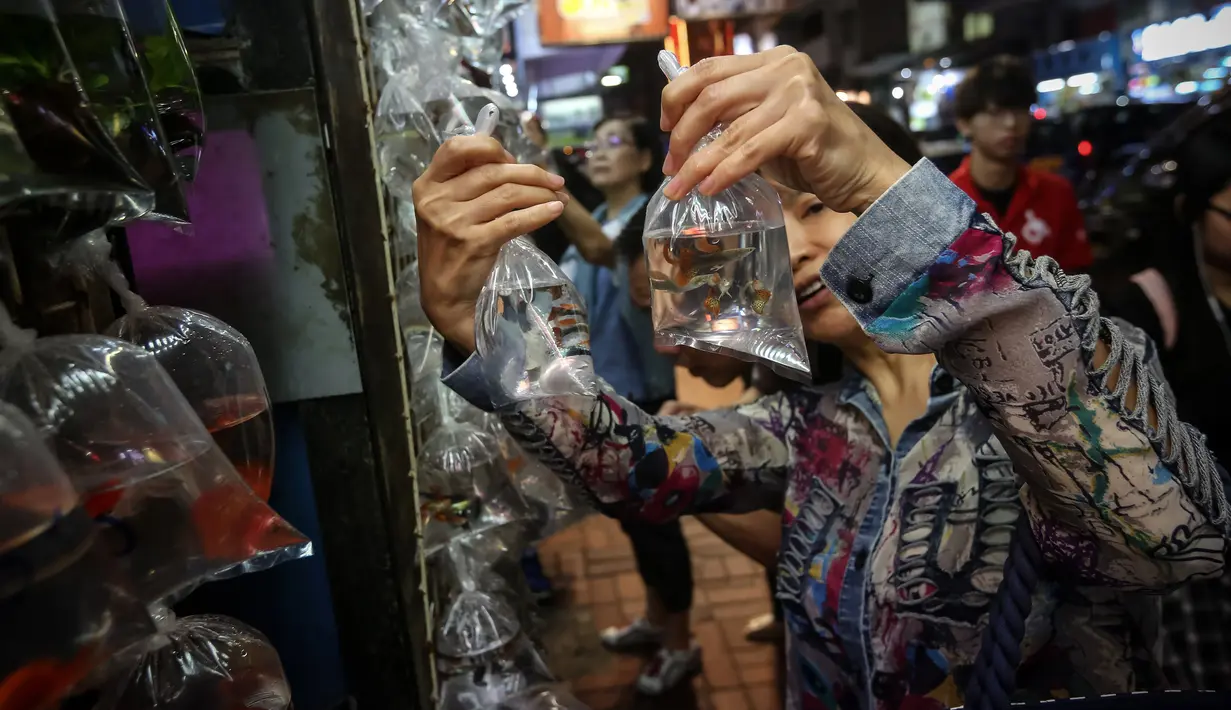 Seorang wanita melihat ikan untuk dijual di Mong Kok Goldfish Market, distrik Kowloon, Hong Kong pada 10 November 2018. Pedagang menggantung ikan hias di dalam plastik bening sehingga pengunjung bisa memilih sendiri ikan yang dimau. (VIVEK PRAKASH/AFP)