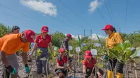 Kolaborasi Tanam Mangrove di Badung Bali yang Penuh Manfaat