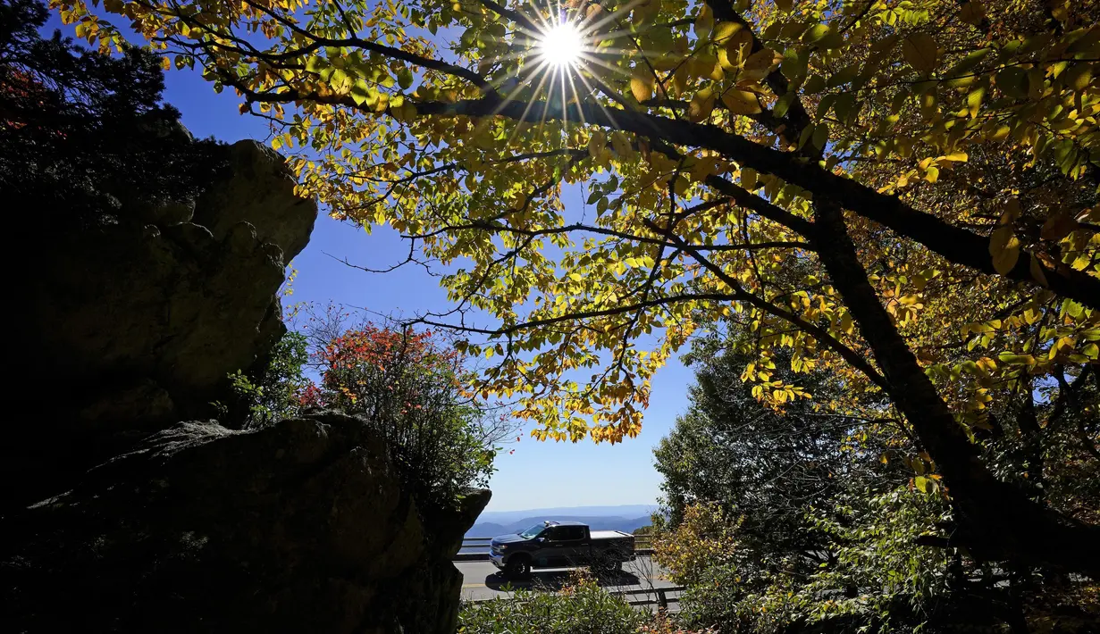 Sebuah kendaraan melewati Linn Cove Viaduct di sepanjang Blue Ridge Parkway dekat Linville, Carolina Utara pada 18 Oktober 2021, saat turis mengamati tampilan tahunan warna musim gugur. (AP Photo/Gerry Broome)