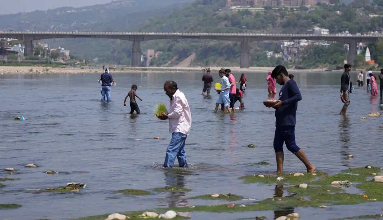 Umat Hindu melakukan ritual dan membenamkan bibit jelai sebagai persembahan saat Festival Navratri di Sungai Tawi, Jammu, India, 10 April 2022. Sesaji tersebut dibuat sebagai bagian dari ritual menandai berakhirnya festival selama sembilan hari. (AP Photo/Channi Anand)