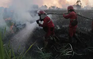 Update Penanganan Kebakaran Hutan di Kalimantan hingga Sumatera