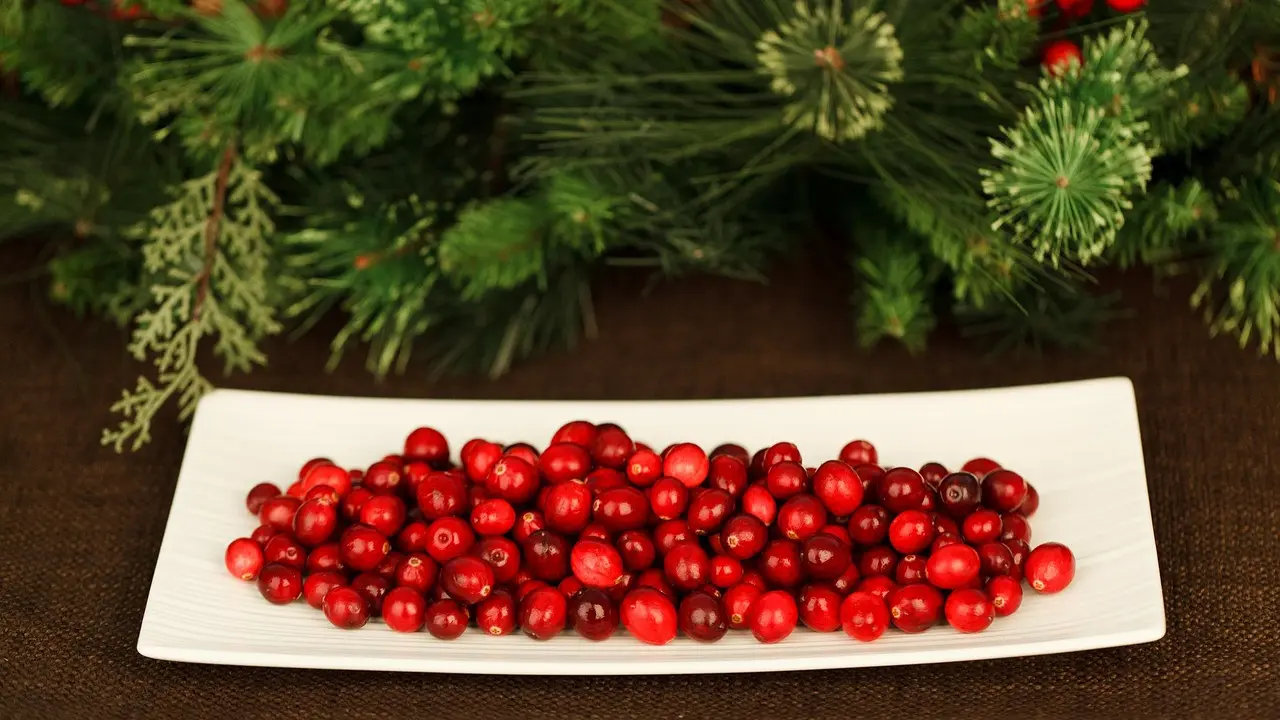 Ilustrasi Cranberry.