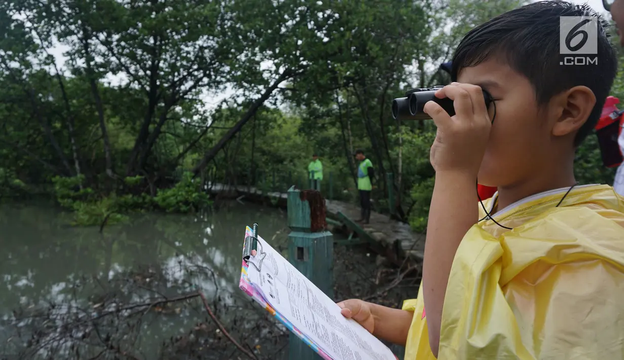 Seorang anak memantau aktivitas burung pada kegiatan Asian Waterbird Census 2019 di Hutan Lindung Angke Kapuk Jakarta, Sabtu (19/1). Kegiatan yang diinisiasi Yayasan KEHATI ini bertujuan memperkenalkan keanekaragaman hayati. (Liputan6.com/Fery Pradolo)