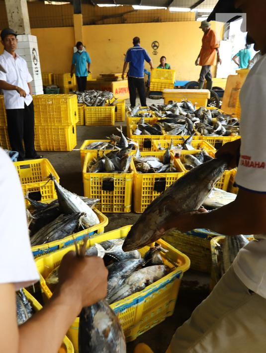 Nelayan memindahkan ikan laut hasil tangkapan di Pelabuhan Muara Angke, Jakarta, Kamis (26/10). Menurut Kementerian Kelautan dan Perikanan (KKP), ekspor perikanan naik 7,21 persen dibanding periode yang sama tahun 2017. (Liputan6.com/Angga Yuniar)