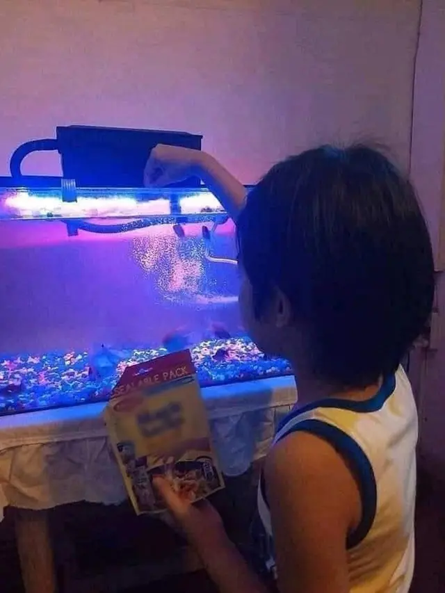 6 Kelakuan Absurd Kasih Makan Ikan Ini Bikin Geleng Kepala