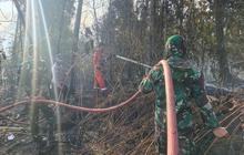 TNI di Tengah Karhutla dan Bencana, Wujud Kehadiran Negara