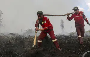 Update Hotspot kebakaran Hutan, Kalteng Tertinggi