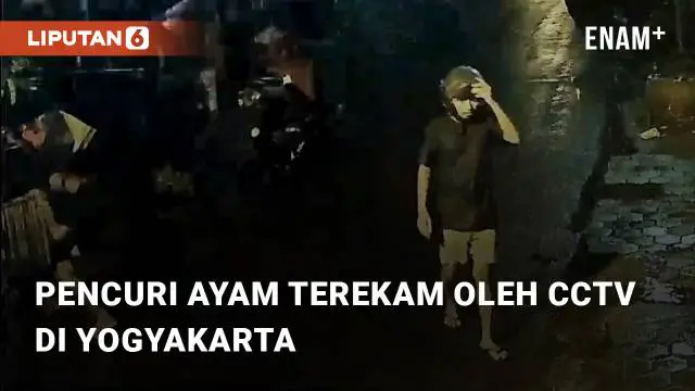 VIDEO: Detik-detik Pencuri Ayam Terekam oleh CCTV Pemilik di Timoho Yogyakarta