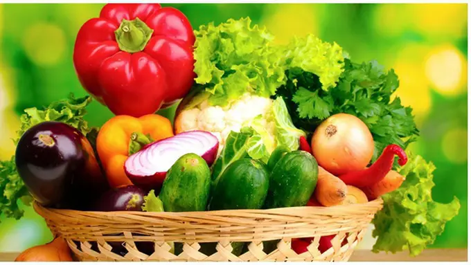 copyright by Shutterstock.com