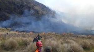Pintu Wisata Bromo dari Malang Ditutup Imbas Kebakaran Hutan