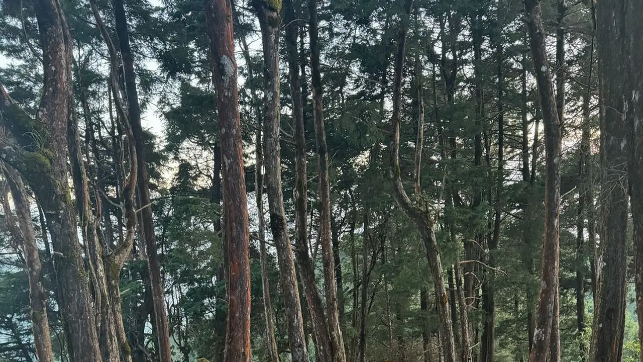 Taklukan Gunung Prau, Yura Yunita, Luna Maya, Marianne Rumantir, dan Della Dartyan Tampil Kece dalam Busana Outdoor