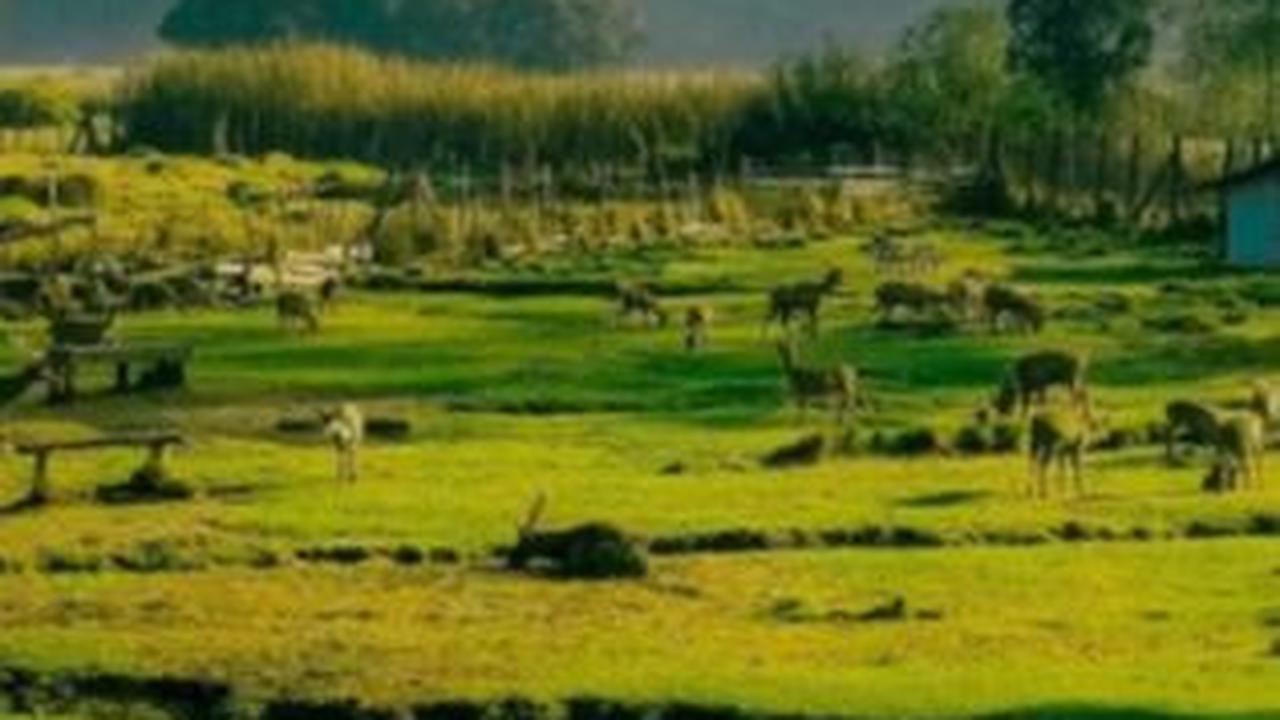 15 Wisata Ciwidey yang Populer dan Wajib Dikunjungi, Tawarkan Keseruan dan Pesona Alam