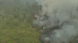 Siapa di Balik Kebakaran Hutan Way Kambas? Polisi Naikkan Kasus ke Penyidikan