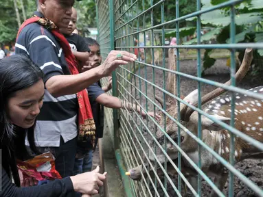 Sejumlah pengunjung memberi makan Rusa di Kebun Binatang Ragunan, Jakarta Selatan, Senin (12/12). Libur Maulid Nabi Muhammad SAW, Kebun Binatang Ragunan diserbu warga yang ingin menikmati waktu libur bersama keluarga. (Liputan6.com/Yoppy Renato)