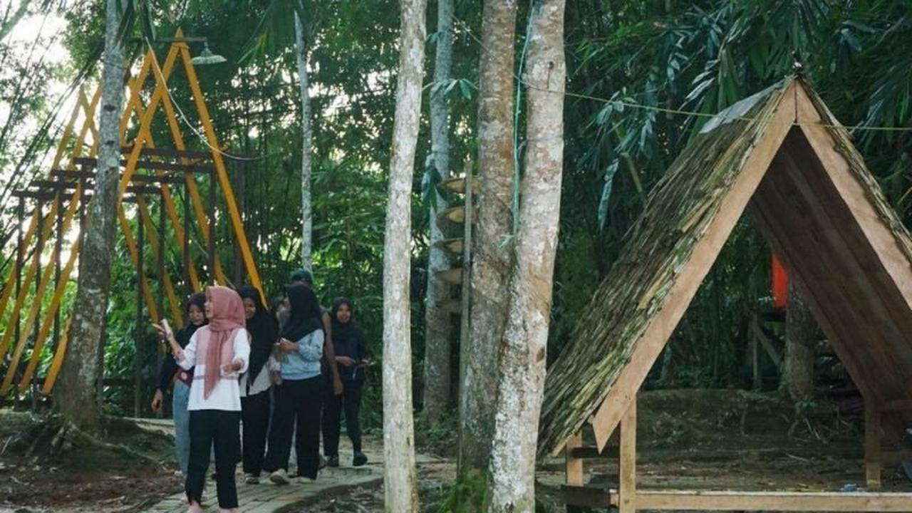 Ekowisata Hutan Kaltim Angkat Ekonomi Masyarakat Lokal, Strategi Jitu Pemprov Kaltim