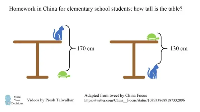 soal mtk anak SD China (Foto: Mindyourdecisions.com)