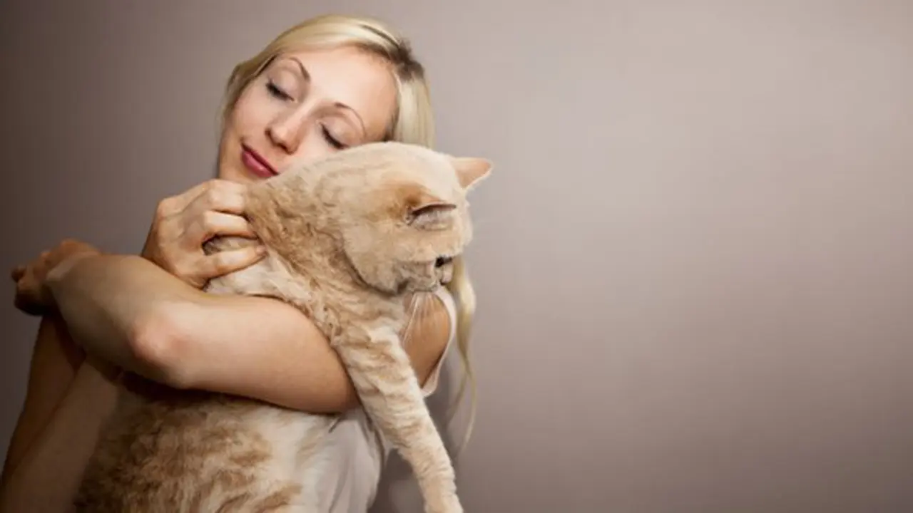 Foto: copyright Thinkstockphotos.com