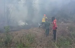 Kemenhut Ungkap Strategi Baru Padamkan Kebakaran Hutan