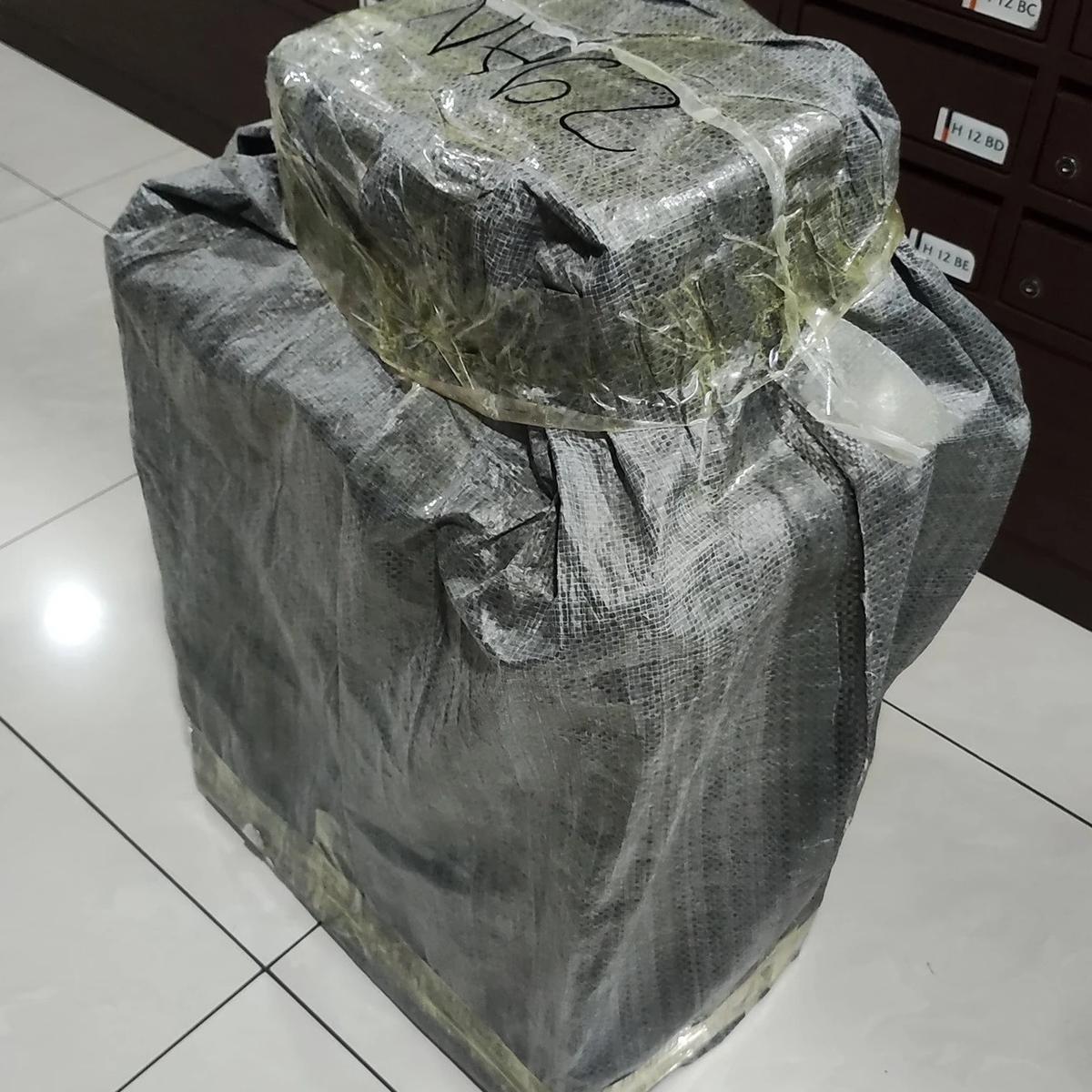 Penyelundupan Narkotika Digagalkan Bea Cukai