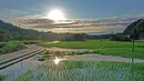 Foto dari udara menunjukkan pemandangan ladang di Desa Chonglou, Wilayah Otonom Etnis Maonan Huanjiang, Daerah Otonom Etnis Zhuang, Guangxi, China, 25 Mei 2020. Ada puluhan suku minoritas yang diakui oleh China bermukim di daerah ini. (Xinhua/Zhou Hua)