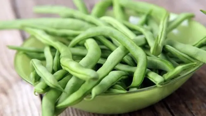 copyright shutterstock.com