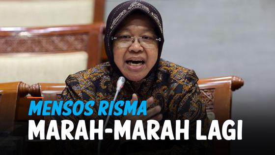VIDEO: Mensos Risma Marah-Marah Lagi, Kali Ini di Lombok Timur