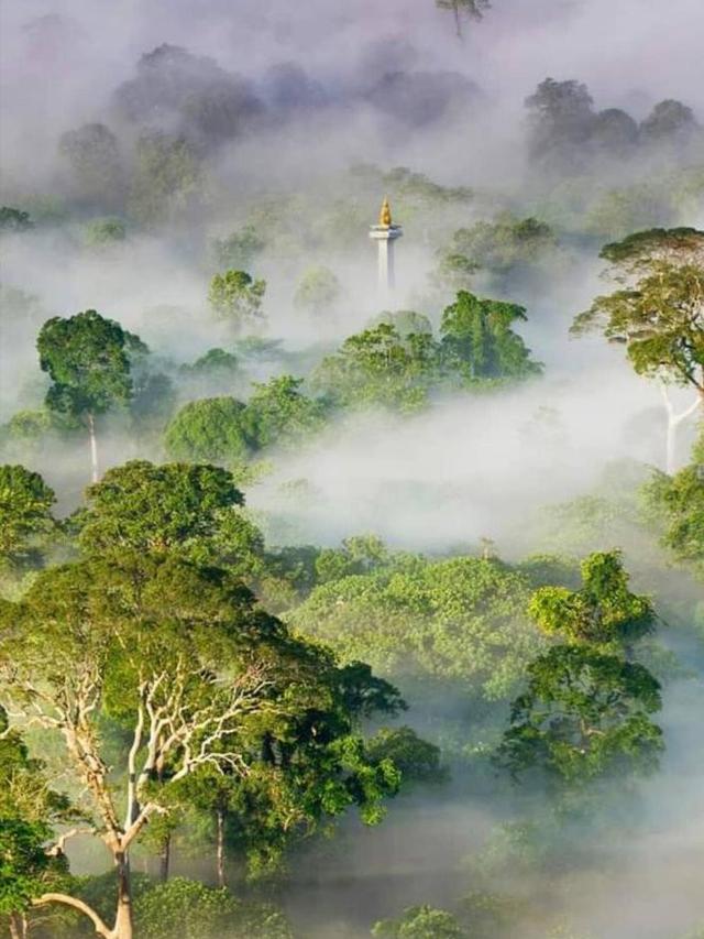 7 Meme Kocak Monas Pindah Dari Jakarta Ini Bikin Ketawa