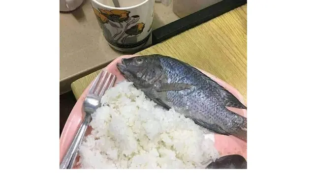 6 Potret Makan Ikan Mentah Ini Bikin Enggak Habis Pikir