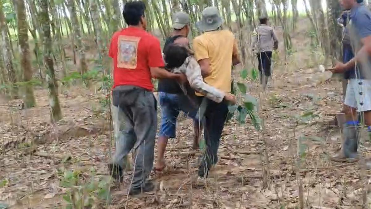 Kades di Lampung Timur Tewas Saat Halau Gajah Liar Masuk Permukiman Warga