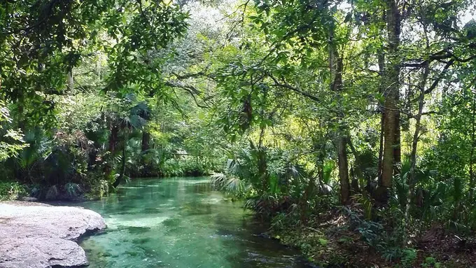[Bintang] Kalimantan