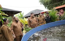 Wali Kota Makassar Dorong Pertanian Perkotaan Dukung Ketahanan Pangan dan Program MBG