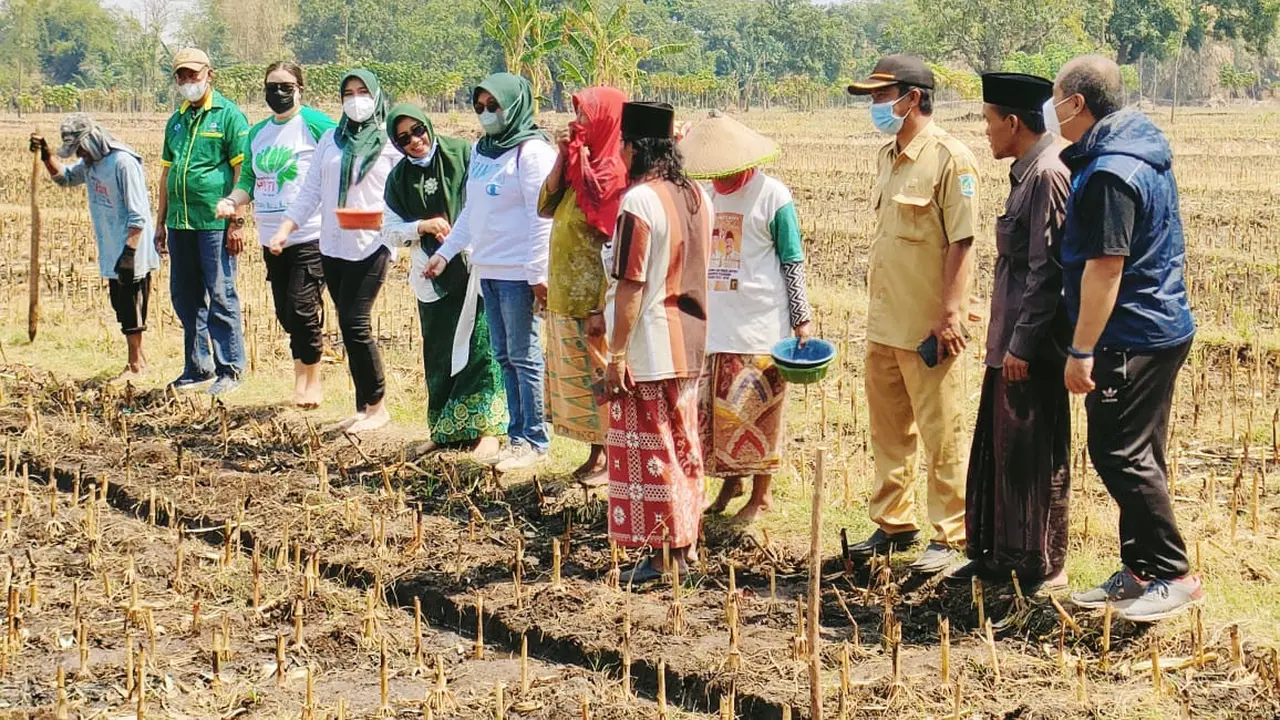    Biotani melaksanakan tandur jagung bareng petani binaan Ponpes Syamsul Arifin, Pasuruan (istimewa).