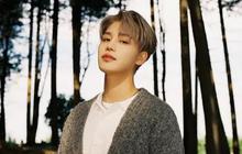 Taeil NCT Akui Bersalah atas Kasus Pemerkosaan, Minta Keringanan Hukuman: “Saya Sangat Menyesal”