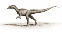 Ditemukan, Dinosaurus 'Naga Mini' Pelopor Makhluk Jurassic
